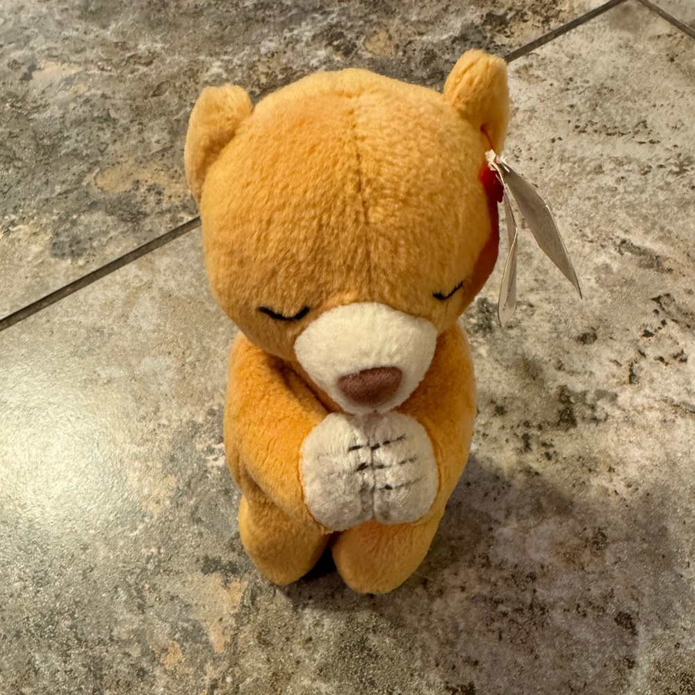 RARE Ty Beanie Baby HOPE Praying Bear w/ Errors 1st Edition